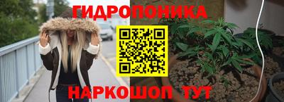ГАЛЛЮЦИНОГЕННЫЕ ГРИБЫ Канаш