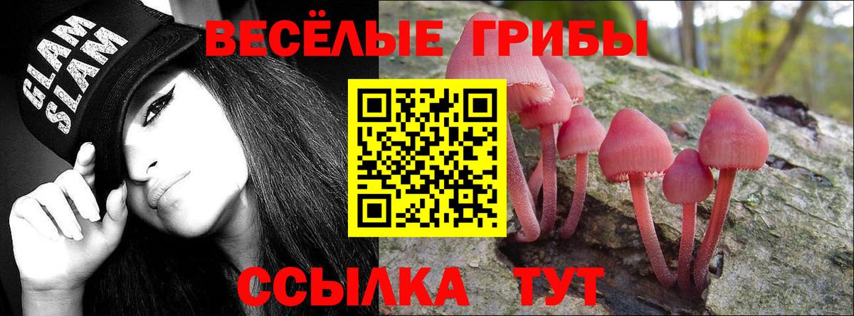 Псилоцибиновые грибы ЛСД Крымск